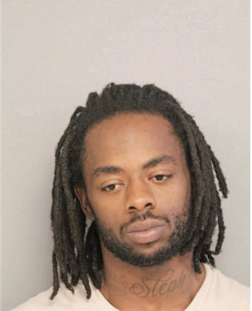 RYAN C COLLINS, Cook County, Illinois