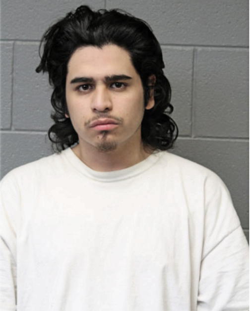 ALEJANDRO S DIAZ, Cook County, Illinois