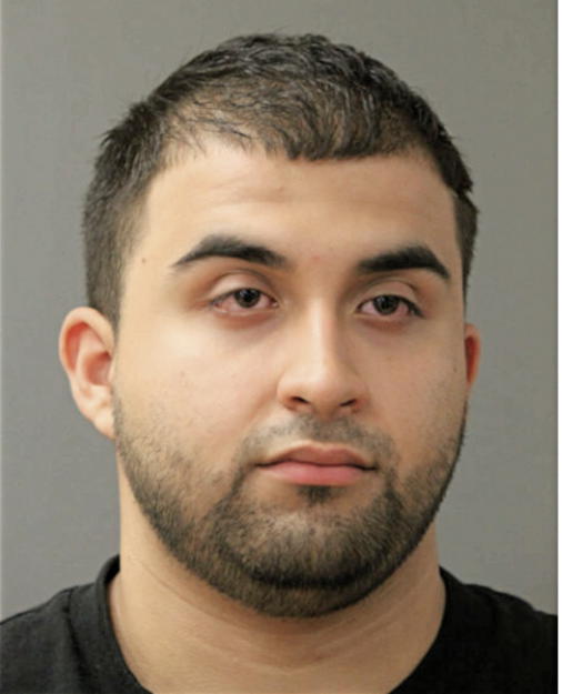 RODRIGO GUERRERO, Cook County, Illinois