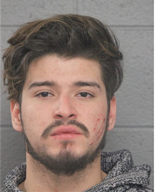 WILLIAM THOMAS HALM, Cook County, Illinois