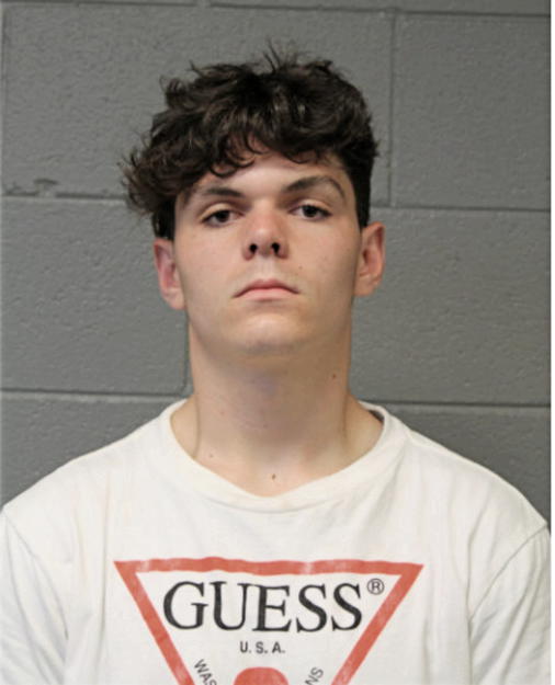 MICHAEL W HARGER, Cook County, Illinois