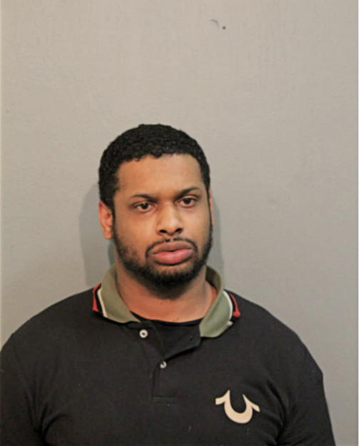 STEPHEN M HENRY, Cook County, Illinois