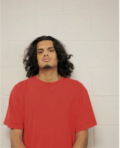 ALEX L HERNANDEZ, Cook County, Illinois
