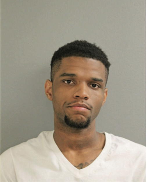 DION J JACKSON, Cook County, Illinois