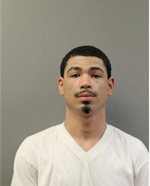 WILLIAM J JACKSON, Cook County, Illinois