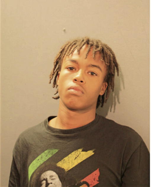 JOSIAH M JOHNSON, Cook County, Illinois