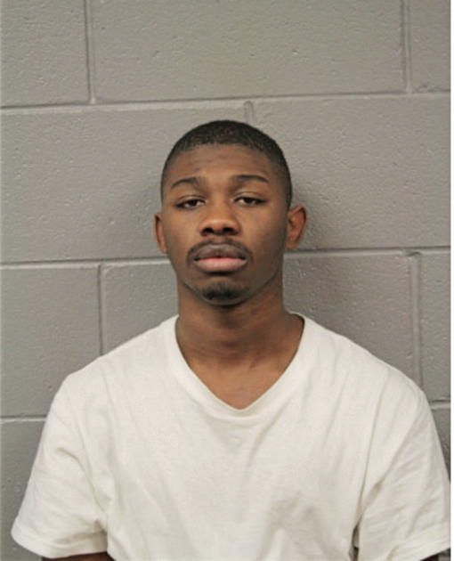 MICAH T JOHNSON, Cook County, Illinois