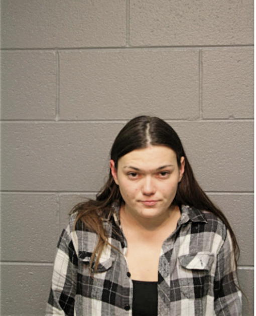 STEPHANIE N LYNN, Cook County, Illinois