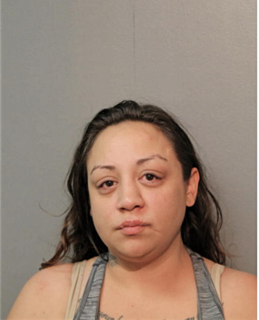 STEPHANIE K OLNEY, Cook County, Illinois