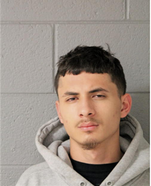 LUIS F PEREZ ZAMUDIO, Cook County, Illinois