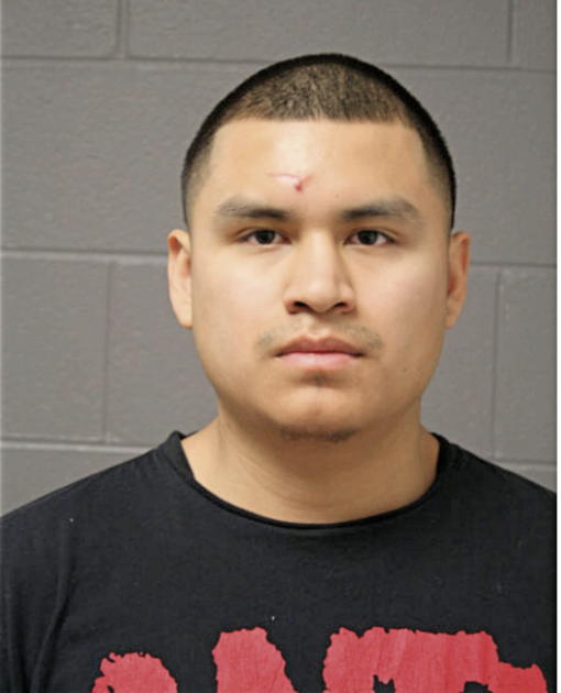 ISMAEL O RAMIREZ, Cook County, Illinois