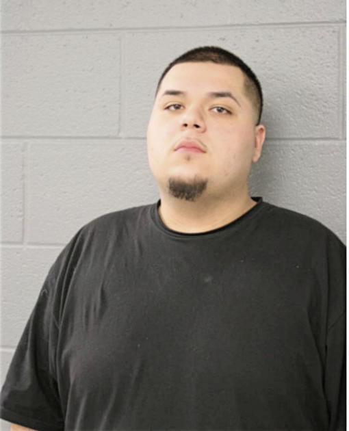 LUIS J RANGEL, Cook County, Illinois
