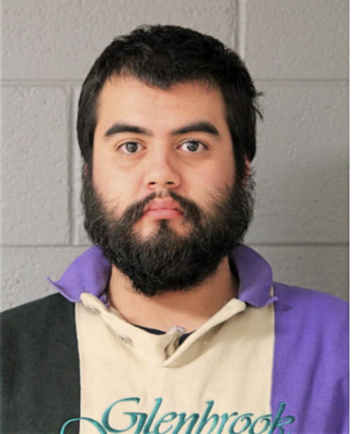 DARIO R RODRIGUEZ, Cook County, Illinois