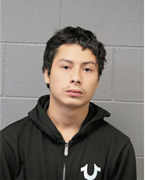 JESUS SALGADO, Cook County, Illinois