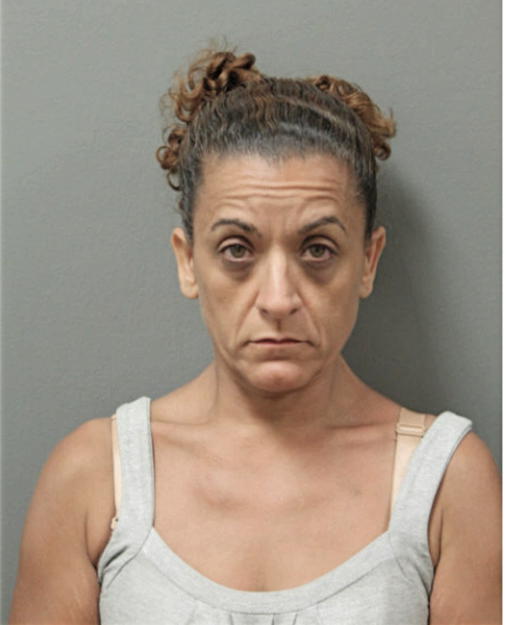 IRIS N VELAZQUEZ, Cook County, Illinois