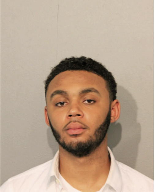 JOHNNIE R BINION, Cook County, Illinois