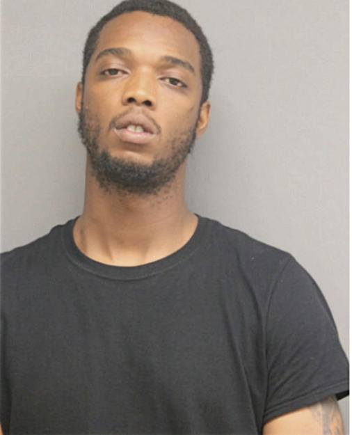 AUNDRAY L COLEMAN, Cook County, Illinois
