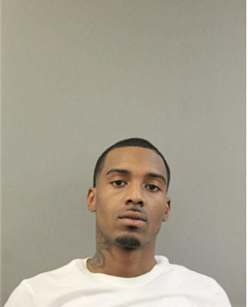 DARRYL L CURRY, Cook County, Illinois