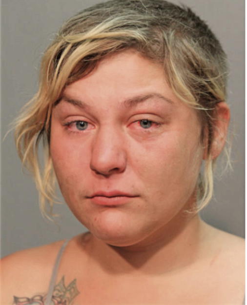 KASEY L DODSON, Cook County, Illinois