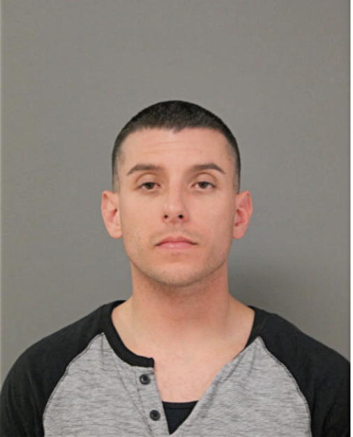 BRIAN J FALAGARIO, Cook County, Illinois