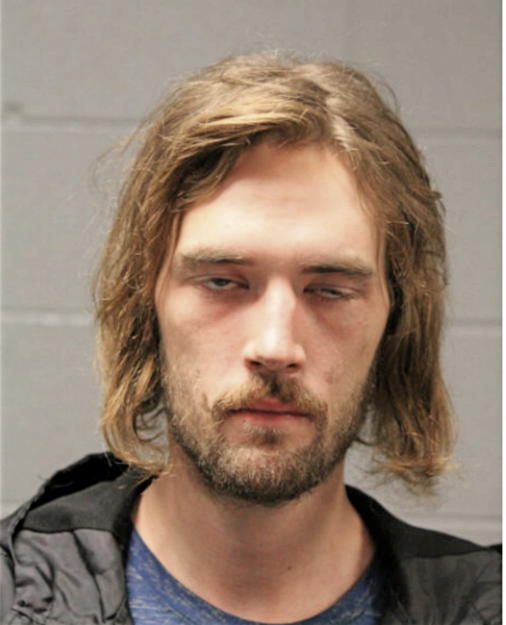 RYAN S FRANDENBURG, Cook County, Illinois