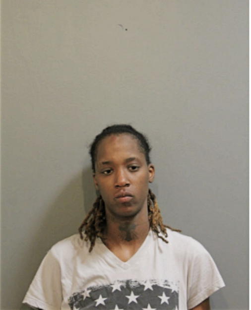 SASHA R HICKS, Cook County, Illinois