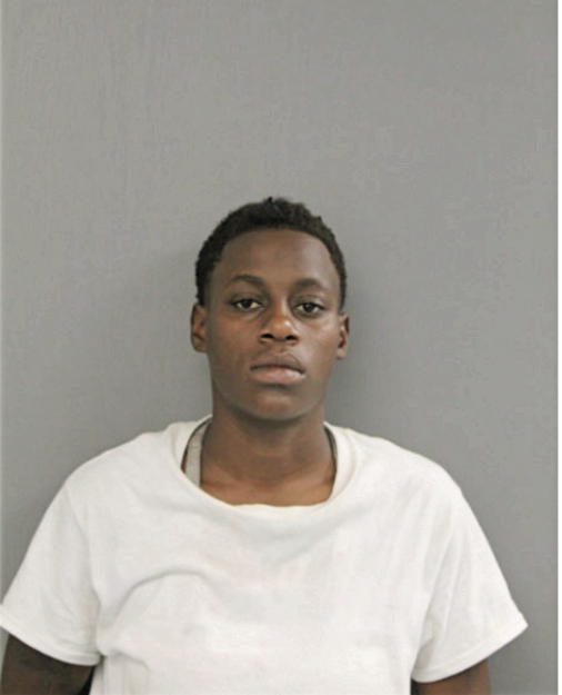 BRITTANY L JACKSON, Cook County, Illinois