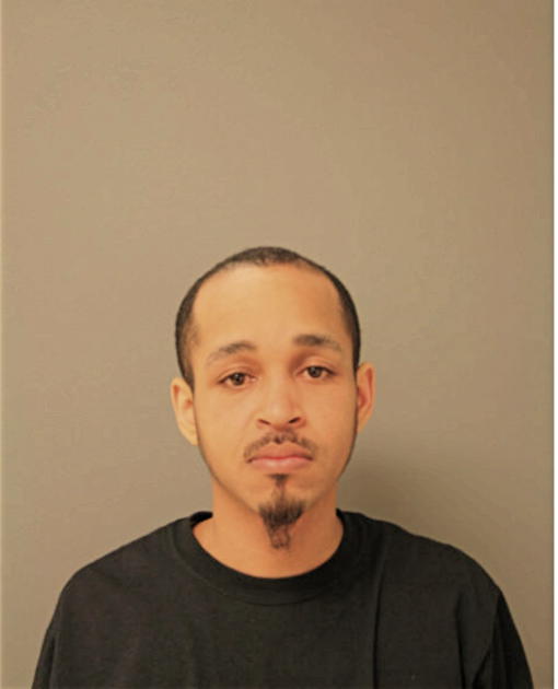 MICHEAL LEWIS, Cook County, Illinois