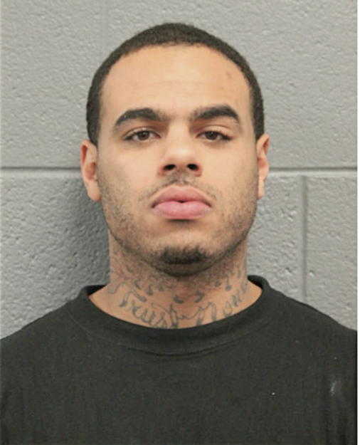 DEVIN L LOGGINS, Cook County, Illinois