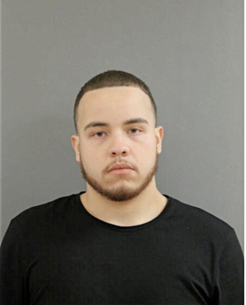 DAVID N MARTINEZ, Cook County, Illinois