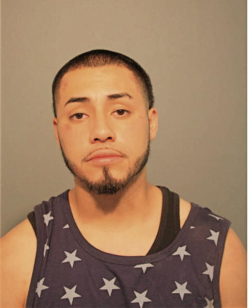 RICARDO MARTINEZ, Cook County, Illinois