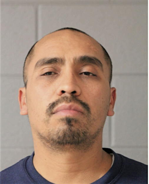 REY MENDOZA, Cook County, Illinois