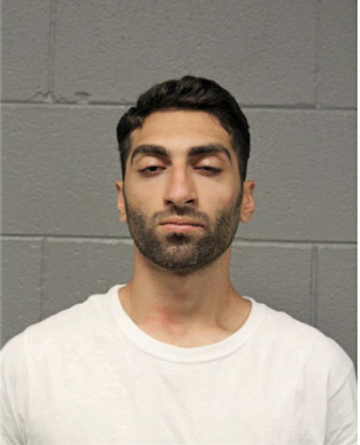 SOFIAN S NAKHLEH, Cook County, Illinois