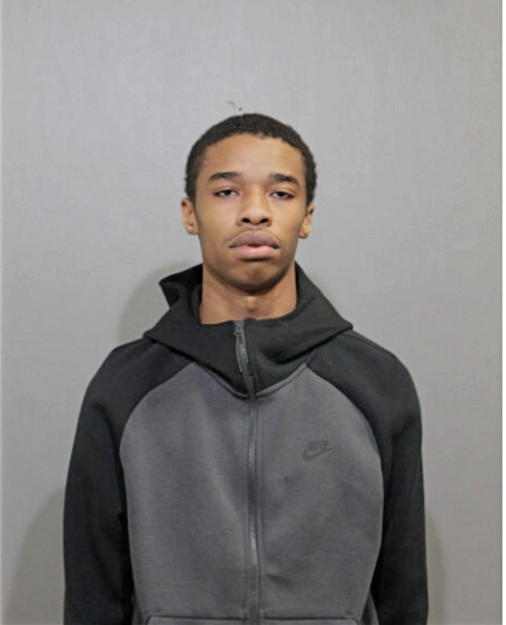 ZAIRE N NELSON, Cook County, Illinois