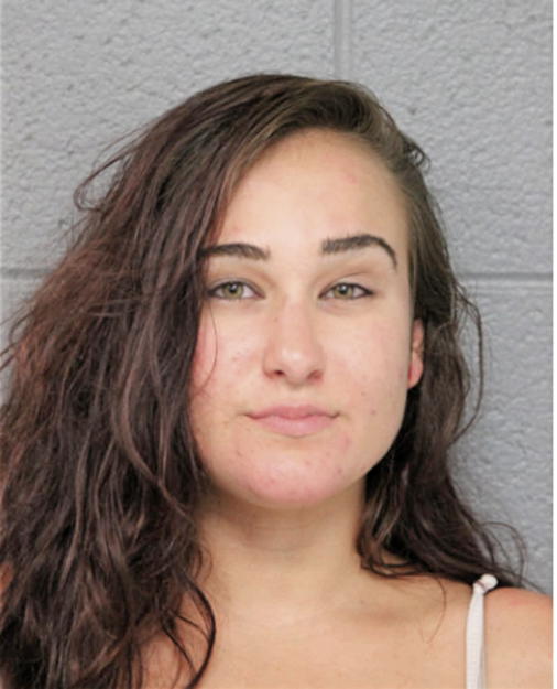 ALEKSANDRA D NIKOLIC, Cook County, Illinois
