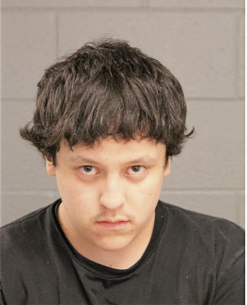 CARLOS I RODRIGUEZ, Cook County, Illinois