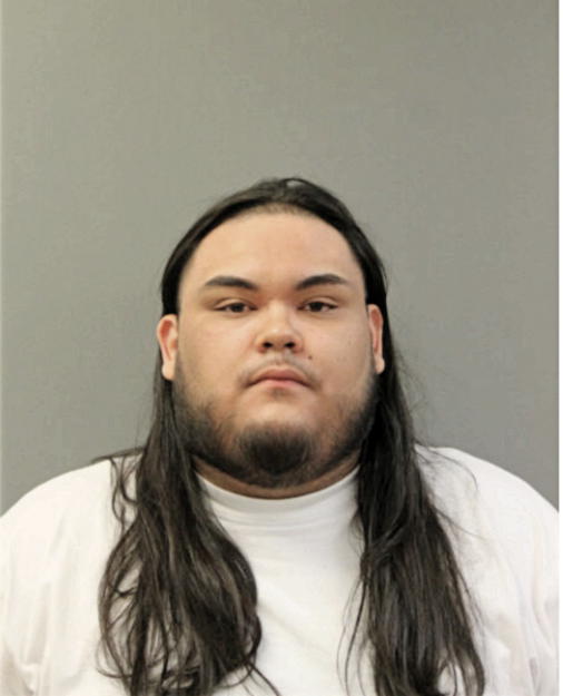 MAURICIO N RODRIGUEZ, Cook County, Illinois