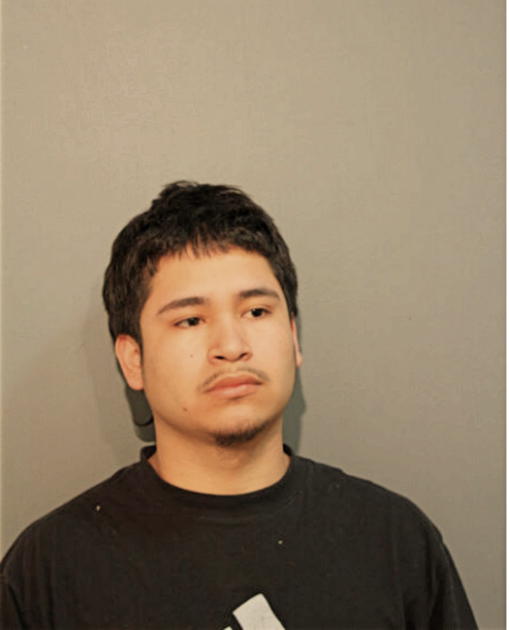 MOISES RODRIGUEZ, Cook County, Illinois