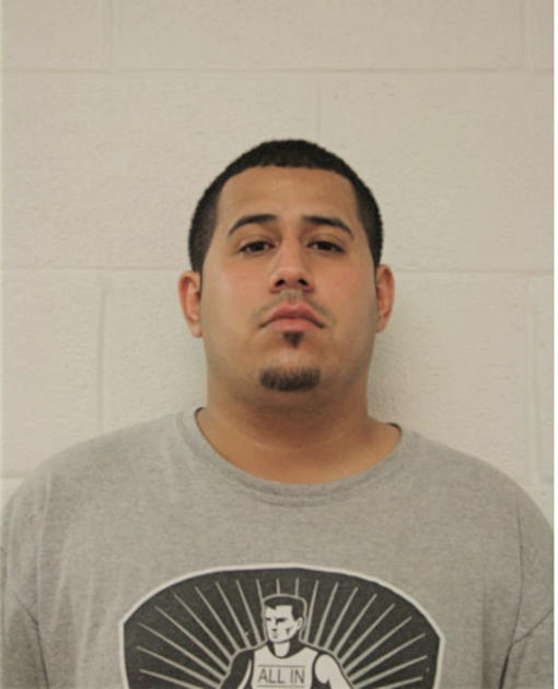 ANTHONY J ROMAN, Cook County, Illinois