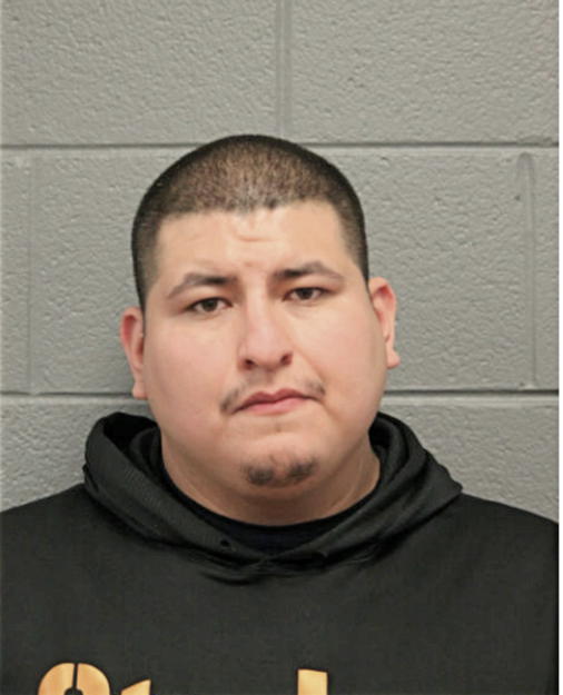 MARIO E SENDEJAS, Cook County, Illinois