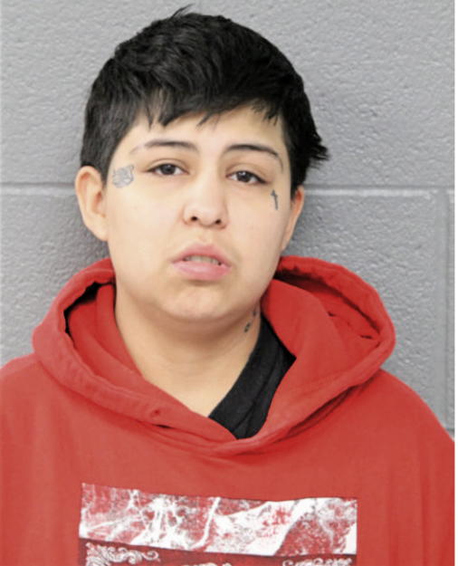 ROSEMARY Y VARGAS, Cook County, Illinois