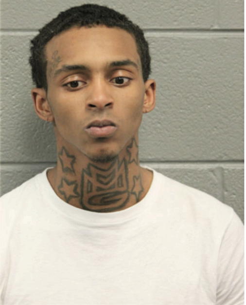 ANTHONY M VICKERS, Cook County, Illinois