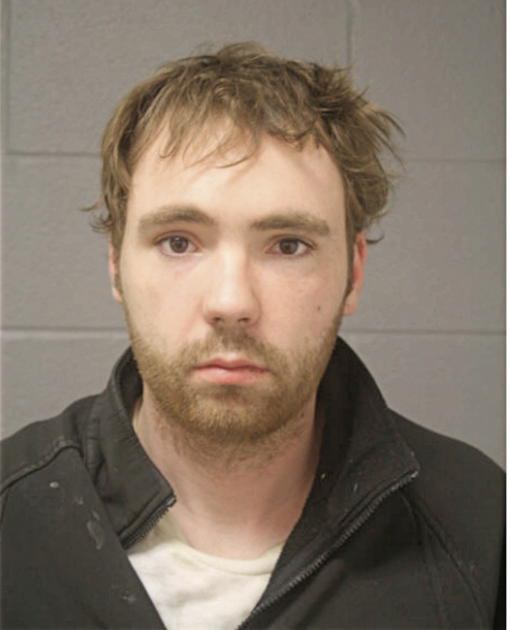 MICHAEL J ZUFFA, Cook County, Illinois