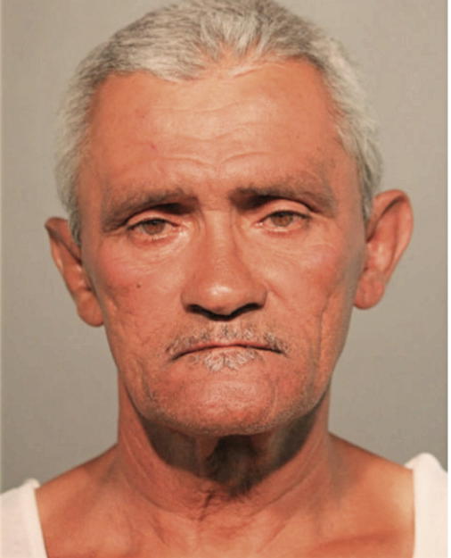 ISREAL ACEVEDO, Cook County, Illinois
