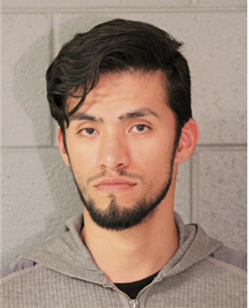 HECTOR ALEJANDRE, Cook County, Illinois