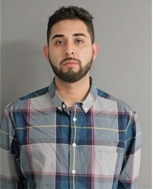 NICOLAS E ANDALON-RAMIREZ, Cook County, Illinois
