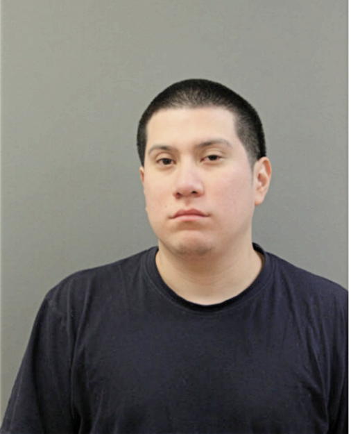 MANUEL BOYAS, Cook County, Illinois