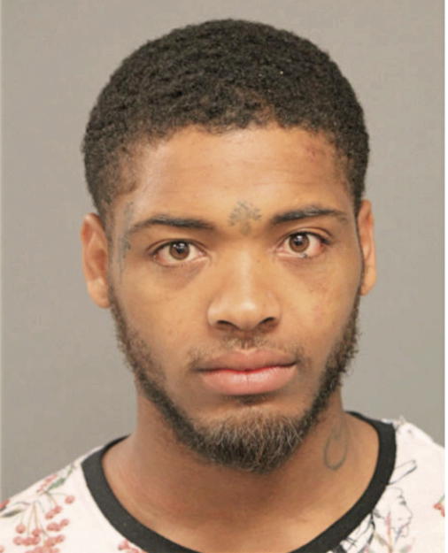 ELIJAH J DAVIS, Cook County, Illinois