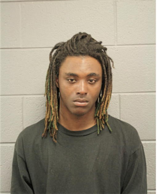 NATHAN EMERSON, Cook County, Illinois