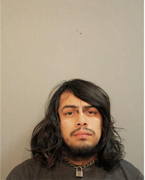 ANTONIO A FLORES, Cook County, Illinois